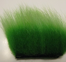 polar bear insect green premium